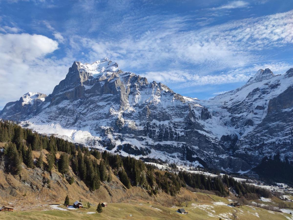 Chalet Pfyffer - Mountain View Grindelwald Ngoại thất bức ảnh