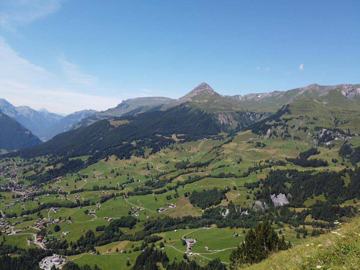 Chalet Pfyffer - Mountain View Grindelwald Ngoại thất bức ảnh