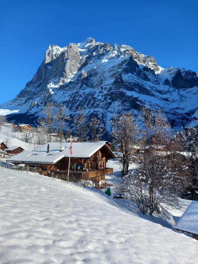 Chalet Pfyffer - Mountain View Grindelwald Ngoại thất bức ảnh